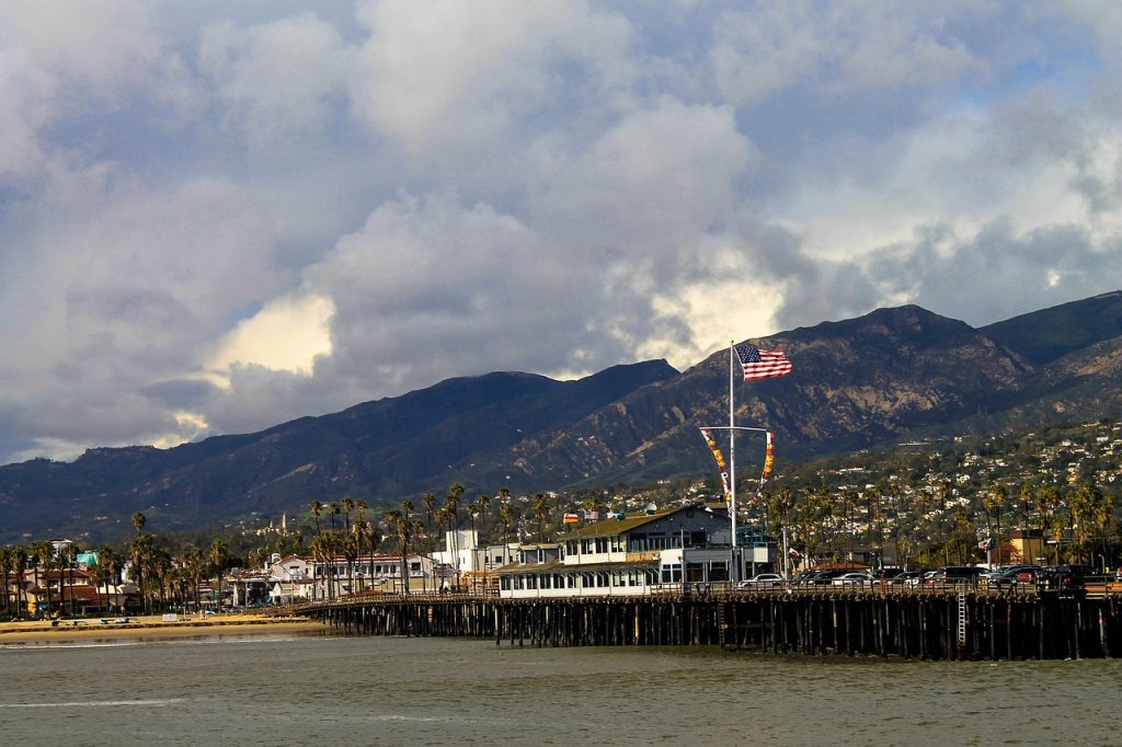 santa barbara, pear, pacific, bay, bcountryside, cactus, califonria, channel, coast, coastline, country, leaves, morning, natural, ocean, america, barbara, santa, nature, scenery, scenic, trees, vista, grow, usa, botanical, california, flora, travel, landscape, prickly