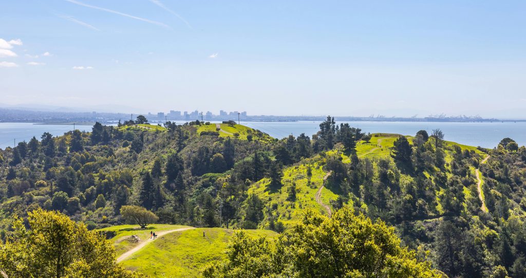 Aerial view of green hills with a distant city skyline by the bay under a clear blue sky.